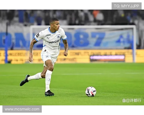 法甲里昂历史上的射手王数据与球员介绍